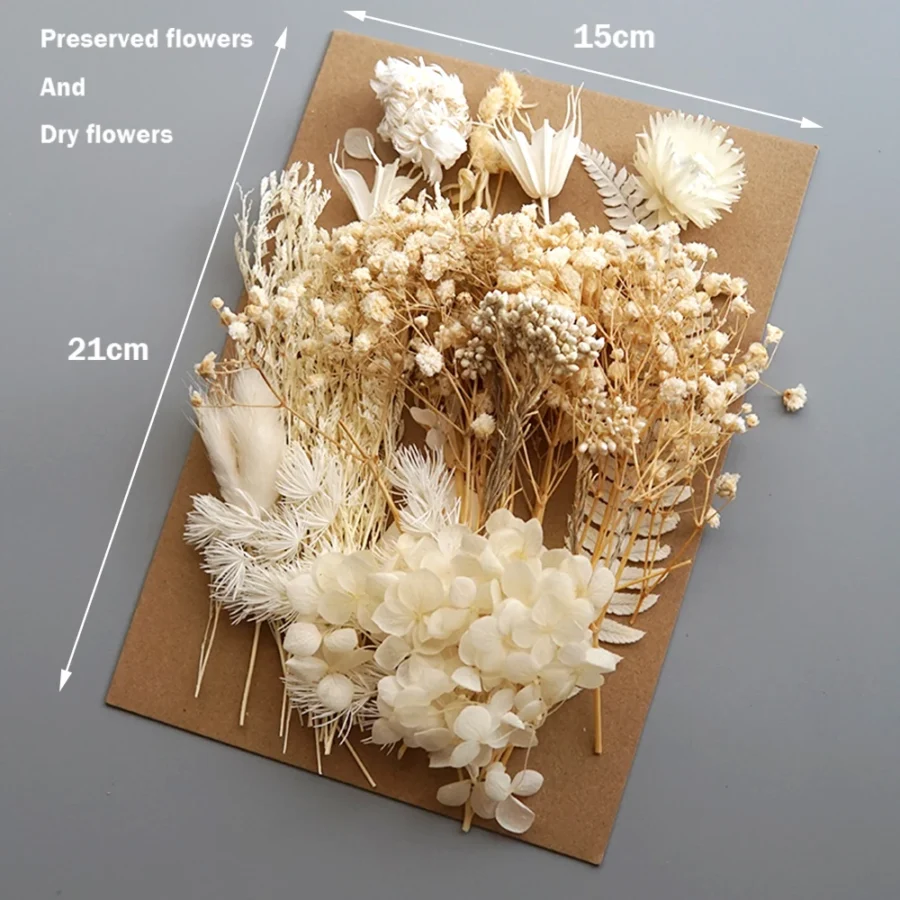 Home Decoration Natural Dried Pressed Flowers For Handmade Crafts wers Leaves Bulk For DIY Candles Epoxy Resin - Image 2